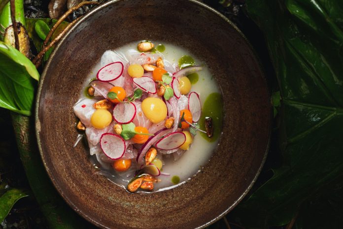 Descubra os Segredos do Ceviche com o Conceituado Chef