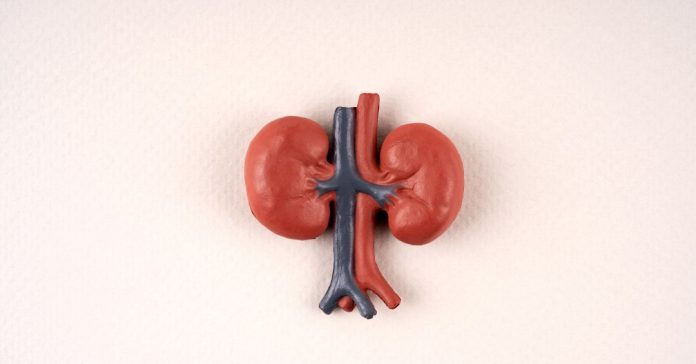 Doen&ccedil;a renal cr&ocirc;nica: por que poucos pacientes fazem