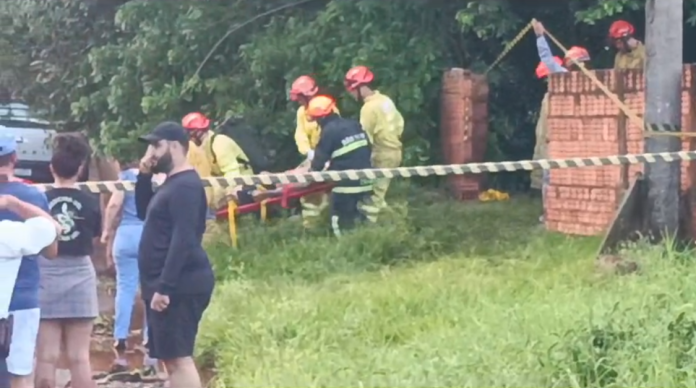 Tragédia no Interior de SP: Queda de Árvore Durante...