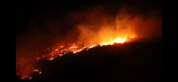 Fogo Devastador Consome Regiões Rurais de Latakia, Síria